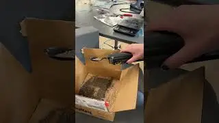 Demo for Senior Design 49022: SteadyHand Chia Seed Test