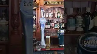 A Tour of the Irish Tavern in Albir