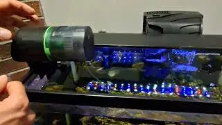 Papettly Automatic Fish Feeder for Aquarium - Unboxing and Demo