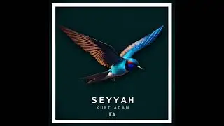 Kurt Adam - Seyyah
