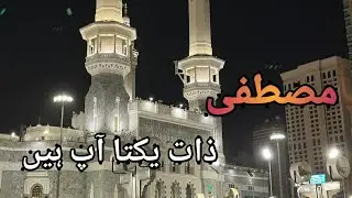 Mustafa Zaat-e-Yakta Aap Hain | Heart Touching Naat | Beautiful Islamic Kalam
