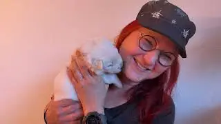 Puppy Life - Lil Rasta in our home in Brienz am See Switzerland