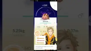 Shadow Swinub 96%