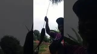 #mancing sore