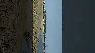 Diubeach