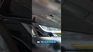 Tesla Model 3 RWD: Smart Adaptations for Mexico's Climate