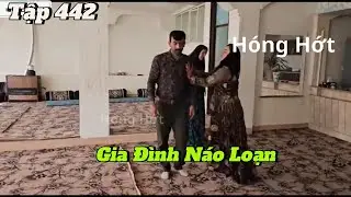 | Zainab - Tập 442 | Người Quay Phim Đã Lên Tiếng Nhắc Nhở Zainab.
