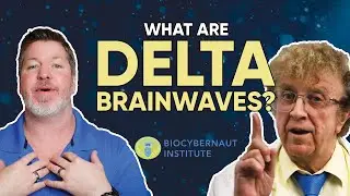 What Are Delta Brainwaves? | Answers from Dr. Hardt. | Biocybernaut Institute