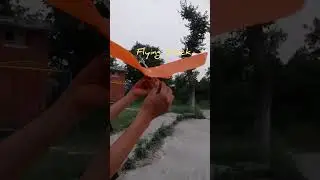 Ornithopter Duck Flying Bird Rubber Band Powered