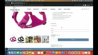 Brugertest 4
