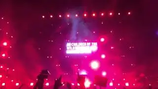 Steve Angello - Children of the Wild live EMF Electrobeach France