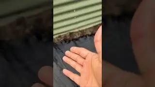 Best Fabric Weed Barrier 