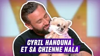 Cyril Hanouna nous présente sa chienne : Nala ! | TBT9