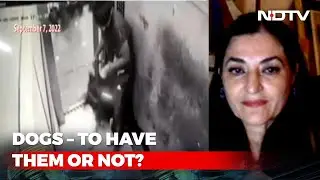 More About Migrant Labourers' Suffering: Animal Welfare Activist | Breaking Views