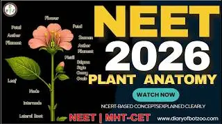 Plant Anatomy for NEET 2026 | Complete Concept + MCQs #viral #trendingshorts #plantanatomy #biology 