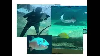 I finally went to an ecomuseum!