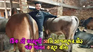 লাভবান হতে কি ধরনের গরু পালন করা উচিত বিস্তারিত ভিডিওতে। এছাড়া বর্তমান বাজার সম্পর্কে ধারণা।
