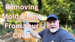 Naturally remove mold and rust from your chicken coop.