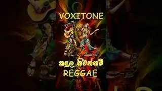 #sinhala #sinhalasongs #sinhalaai #aisongs #reggaesinhala #reggae #fyp #sinhalaedm #aicover