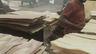 Core veneer sheet
