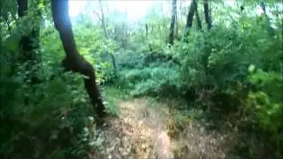 Prairie Park Main Loop