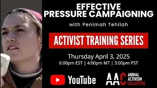 Effective Pressure Campaigns w/ Penimah Tehilah /// AAC Activist Training Series