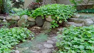 Landscape Rocks