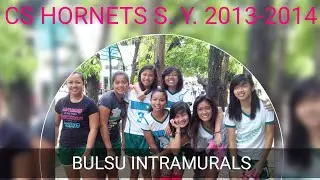 CS HORNETS BULSU INTRAMURALS SY 2013-2014