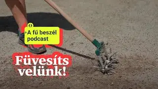 🌱 Füvesíts velünk! -  Útmutató a Fűmagvetéshez Kezdőknek és Haladóknak