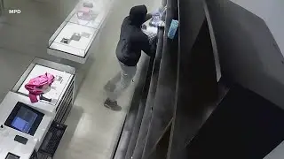 Police release video of 'flash mob' robbing downtown DC Chanel store