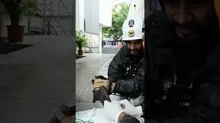 RESQ team rescues a flying fox trapped in a safety net on a coconut tree.