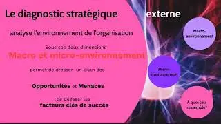 MSDGN -TSTMG-  le diagnostic strat&eacute;gique