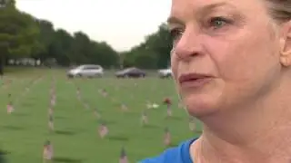 Hundreds attend memorial ceremony at Houston National Cemetery