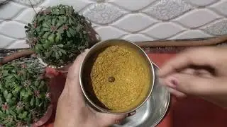 एक बार  इस तरीके  से मीर्च  का अचार बना कर तो देखो #कभी भी खराब नही होगा