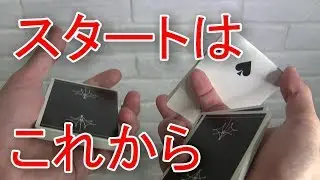 こんなに簡単で使いやすいフラリッシュある？ Zigzagoon Tutorial【FiveTwo Mount Edition #390】