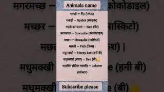 flying and see animals name.#learnenglishwords #viral #youtubeshorts #shortvideo #trending #live