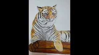 Fine Art's | RBN Nano Art's