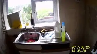adamshouse