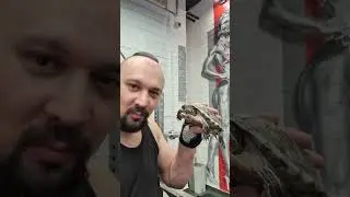 ТРЕНИРОВКА В ЗАЛЕ ЛЬВИНЫЙ ПРАЙД #качалка #спорт #бодибилдинг