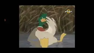 Daniel Vulcu - Father Duck (The First Snow of Winter) 