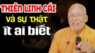 THIÊN LINH CÁI VÀ SỰ THẬT ÍT AI BIẾT ĐẾN ( ĐỪNG BỎ QUA ) | Thiền Sư An Lạc Hạnh
