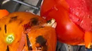 Appetiser #appetizer #hot 