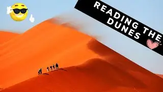Navigating the UAE's Desert Sands: A Guide to Reading the Dunes