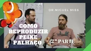 Perguntas e Respostas sobre Reprodução do Peixe Palhaço