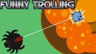 mope.io new black widow spider glitch || Trolling ProZ CrayZ || Funny moments!
