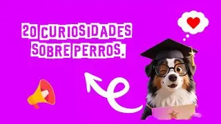 20 Curiosidades sobre Perros.