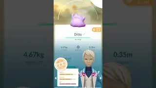Ditto Collection ✨💜All My Dittos! 💖 My Ditto Army 💜🌸Ditto Love 💜💎Caught &lsquo;Em All: Ditto Edition 🦘