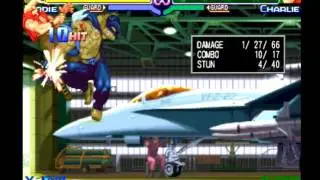 Birdie Vism Infinite Tutorial