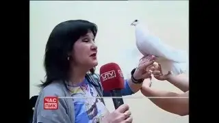 ЧС 07.12.2015.