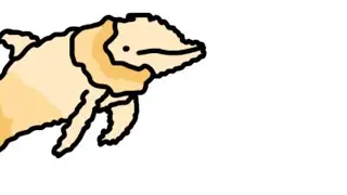 Why it sucks to be born as an Iroiroiruka (Fictional Animal)